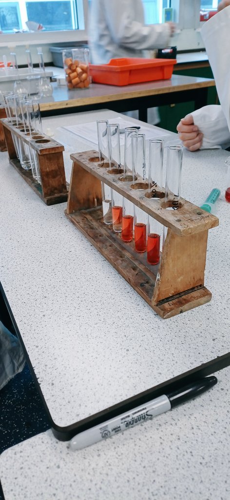 St Wilfrids Science (@stw_science) on Twitter photo Dr Larrington's <a href="/SWSixthForm/">St Wilfrids 6th Form</a> class have been investigating the permeability of cell membranes #Beetroot #Biology Dr Larrington's <a href="/SWSixthForm/">St Wilfrids 6th Form</a> class have been investigating the permeability of cell membranes #Beetroot #Biology