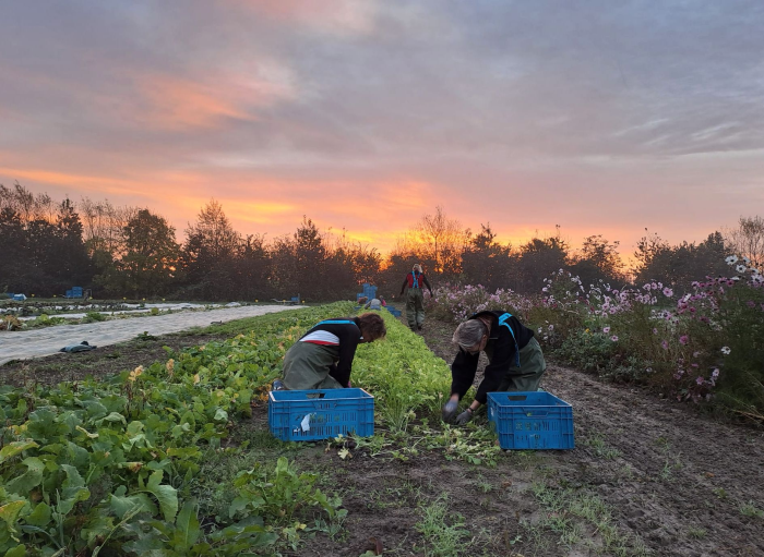 HBLingezegen_Grootstal (@hblingezegen) on Twitter photo Ook je eigen eten verbouwen? A.s. zaterdag (8 febr.) is er een rondleiding bij #herenboeren op #landgoedgrootstal. Start: 10 uur, LandgoedLAB Grootstal, St. Jacobsweg 13a in #malden. Aanmelden: lingezegen.herenboeren.nl of nijmegen.herenboeren.nl.
<a href="/herenboeren/">Herenboeren</a> #nijmegen #samen Ook je eigen eten verbouwen? A.s. zaterdag (8 febr.) is er een rondleiding bij #herenboeren op #landgoedgrootstal. Start: 10 uur, LandgoedLAB Grootstal, St. Jacobsweg 13a in #malden. Aanmelden: lingezegen.herenboeren.nl of nijmegen.herenboeren.nl.
<a href="/herenboeren/">Herenboeren</a> #nijmegen #samen