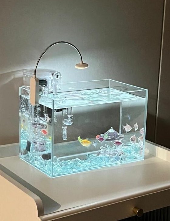 emily01749597's tweet image.