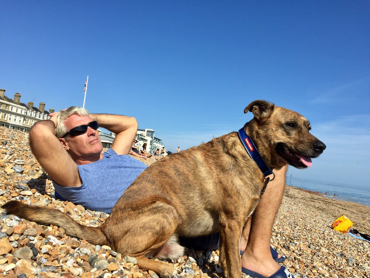 Seychelles_dog's tweet photo. 🙏Toffee’s last day today, as his hips have failed 😞 

12 wonderful years makes parting so very, very hard, 4,000 days &amp; 12,000 walks together. So sad 🌈 
He was rescued in the Seychelles, then lived in Bermuda &amp; Ibiza. Retired to a beach in Worthing for his final days 😢 ❤️ https://t.co/xrT6xEpRra