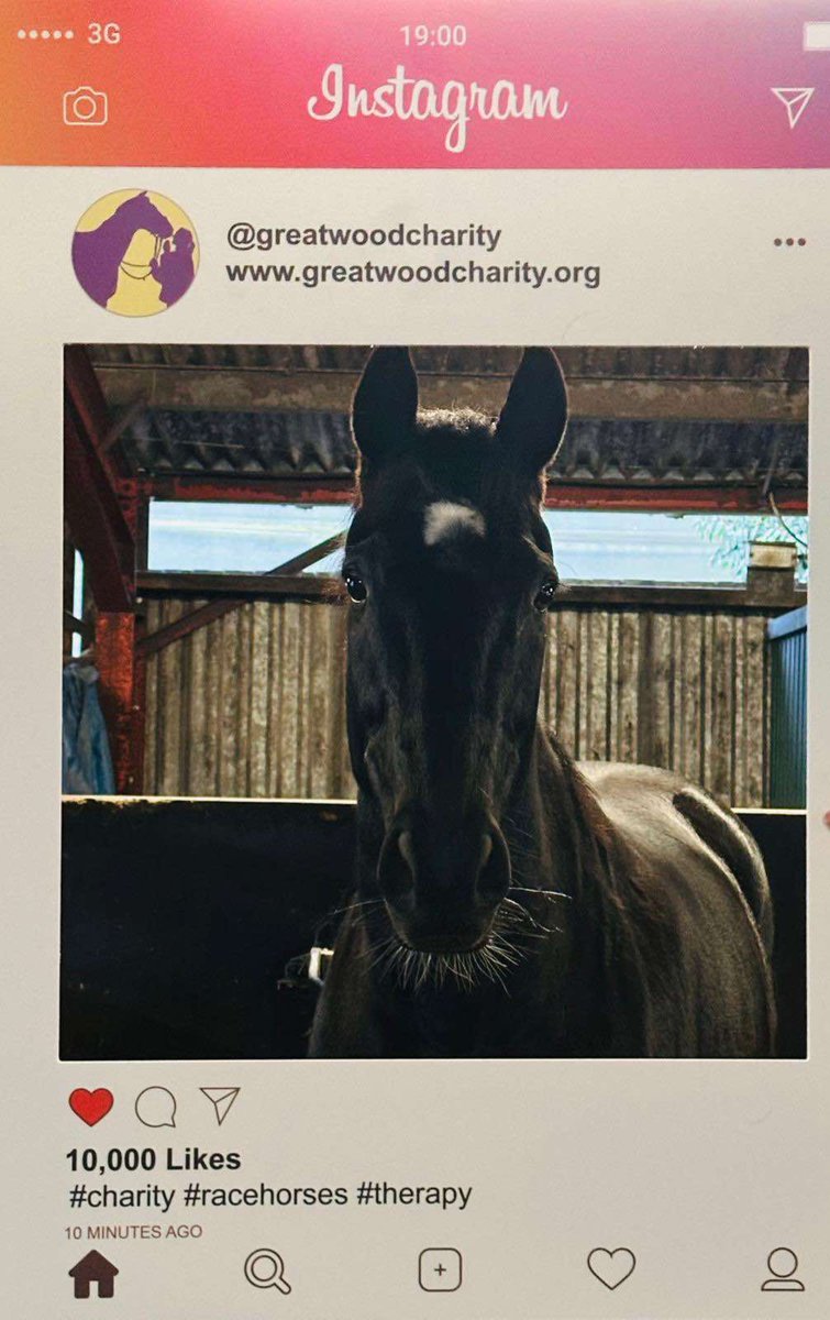 GreatwoodHorses's tweet photo. Farouk de Cheneau and Pentland Hills earning their keep as our #posterboys on #GoodNewsTues #selfieoftheday @ownersgroupuk 
For more information on the work we do with former racehorses and our accredited
educational programmes: https://t.co/qrNuWoW3SW https://t.co/7oO8ZCEYrO