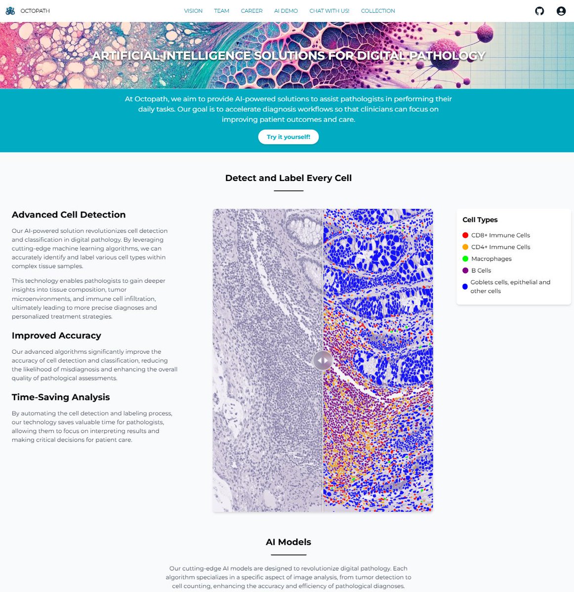 UCL Medical Physics & Biomedical Engineering tweet media