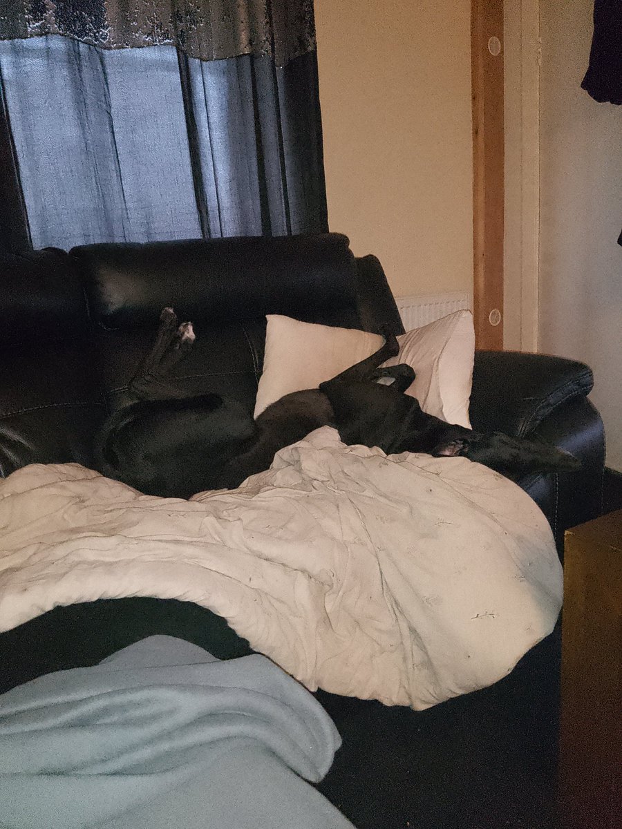 Mum keeps asking if I want to go for a walk, she can heck right off! 

Lady, it's raining and I'm comfy.