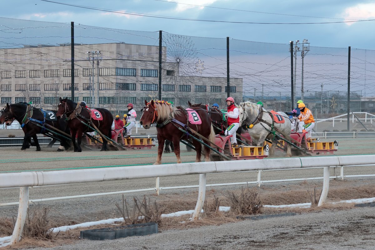 TeamFujiwaraGOD's tweet photo. 初めてばんえい競馬場に来た！2/1土 6R,7R参加。
ばんえい競馬は、騎手の駆け引きや展開を間近で感じながら楽しめる面白いレース。
6Rは藤原さん推しの「そとんど（外枠の蔵人騎手の略称らしい）」が３着！やはり外枠くらんど君は良いみたいだ。
お陰様で回収率190％！

#ばんえい競馬 #船山蔵人 https://t.co/B1fO5gv0s7