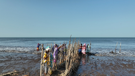 Canada au Sénégal tweet media