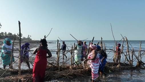 Canada au Sénégal (@ambcansenegal) on Twitter photo Exemple de leadership environnemental féminin en marche : avec l’appui du projet Natur’ELLES de <a href="/SOCODEVI/">SOCODEVI</a>, les femmes de Palmarin mettent en œuvre la technique des Épis Maltais-Savard qui permet de lutter contre l’érosion côtière #SDI2025
<a href="/DevCanada/">Développement Canada</a> <a href="/NebedaySenegal/">💫Nebeday 🌱♻️</a> <a href="/IUCN/">IUCN</a> Exemple de leadership environnemental féminin en marche : avec l’appui du projet Natur’ELLES de <a href="/SOCODEVI/">SOCODEVI</a>, les femmes de Palmarin mettent en œuvre la technique des Épis Maltais-Savard qui permet de lutter contre l’érosion côtière #SDI2025
<a href="/DevCanada/">Développement Canada</a> <a href="/NebedaySenegal/">💫Nebeday 🌱♻️</a> <a href="/IUCN/">IUCN</a>