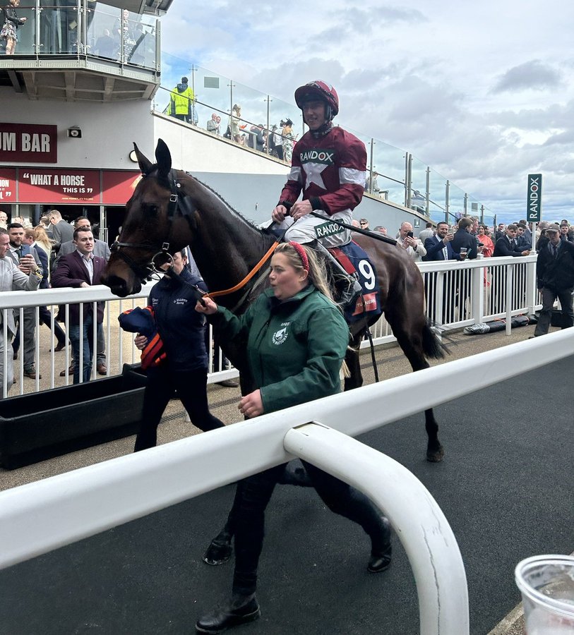RoadCheltenham's tweet photo. 🌟 Harry Swan on BRIGHTERDAYSAHEAD, per @FinalFlightPod:

"I think she'd have a serious chance in a Champion Hurdle. I just think the way she won the last day, to go that quick and to stay at it, I'd love to see Constitution Hill go that gallop and make it a proper true test just to see how he goes. I know he's had tests before but he's never gone hell to leather in a proper Champion Hurdle.

"If you watch Istabraq's Champion Hurdles, there's 30 lengths between first and last and they're going flat to the mat. I'd love to see Constitution Hill under that pressure and to see what he can do under it but the mare, I just thought the way she did it the last day was very impressive. I think she'd give him a run for his money anyway.

"She's too good to go for the Mares Hurdle. I know they went for the Champion Hurdle before with Apple's Jade and they were disappointed but I think this mare is different. I think she's more special than Apple's Jade and they have to give it a go, you know. I think they do anyway, I think she'll run in the Champion Hurdle."

(📷: @Crazyg07231486)