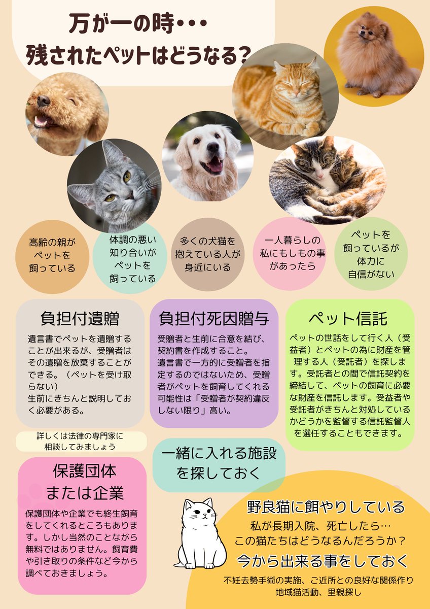 NPOFUNANEKO's tweet photo. 【1/17高根台社会福祉協議会にて】
遺言書セミナーを開催していらっしゃる杉村先生にコラボをお願いして、ふなねこは『ペットとして飼育されている動物達が万が一残されたら？
世話してる野良猫を残すような事態が起こったら？』と言う講演を行いました。
↓ https://t.co/JfbbqTs51c