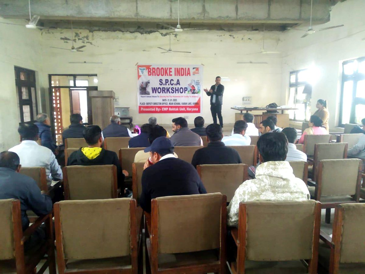 After continuous collaborative efforts by Brooke India, the SPCA Infirmary in Karnal is now operational! This facility will provide critical care for stray and injured animals. Our recent workshop brought key stakeholders together for this milestone.