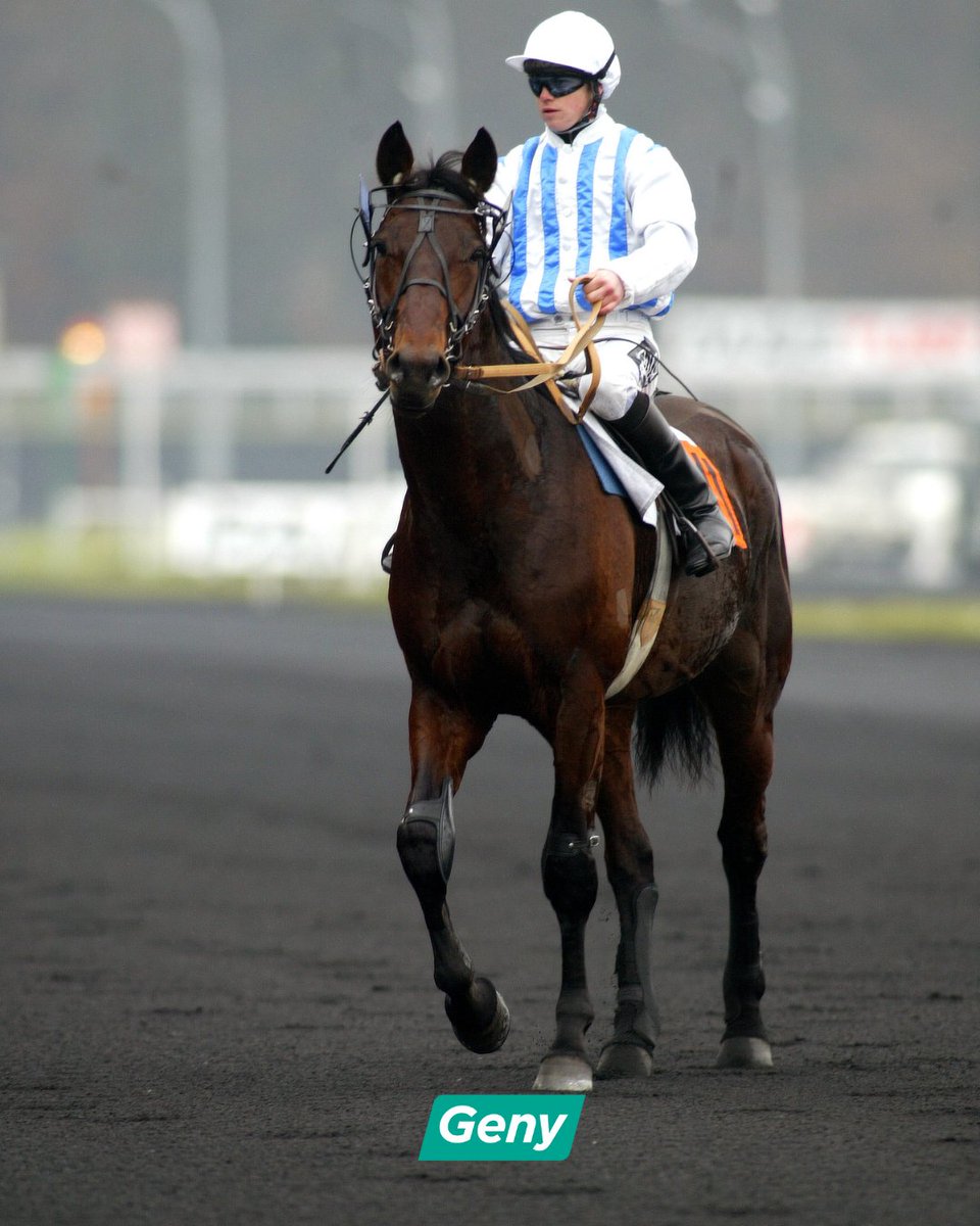 Geny.com tweet media