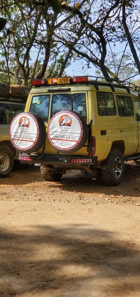 rokahsafaris's tweet photo. Car Rental Services in Uganda, Kenya, Rwanda and Tanzania 
#rokahsafaris
#BBB25 https://t.co/JHQHlxJsSK