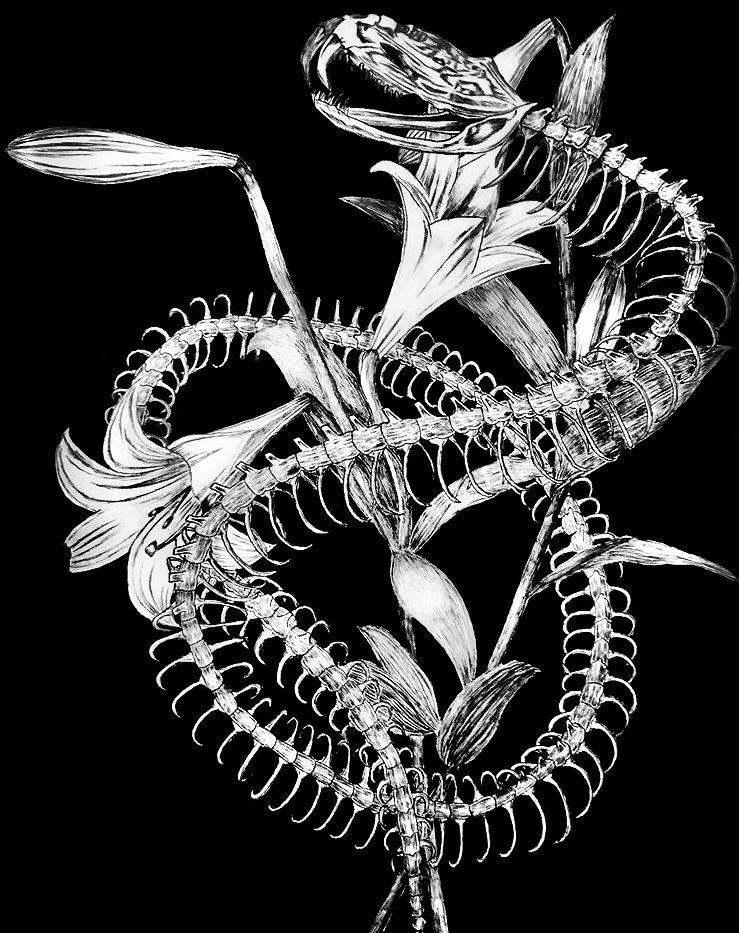 #刺さる人に届け一次創作祭り
ボールペン画 