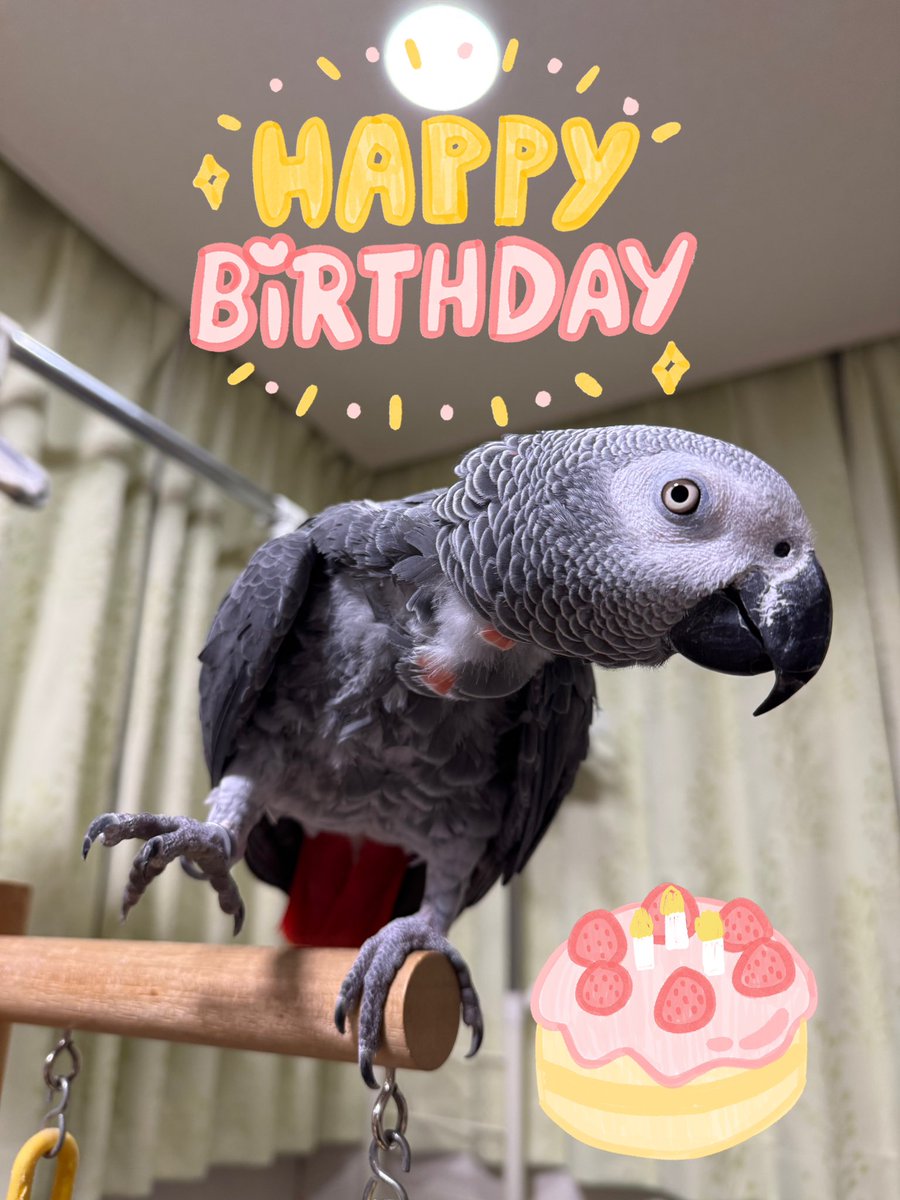 るいちゃん今日10歳になりました🎂✨ 動画もあげたので良かったら観て