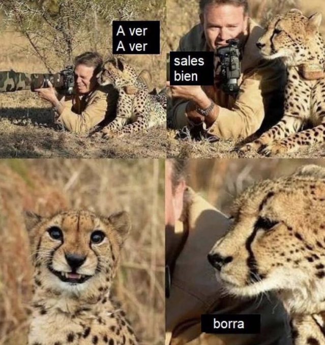 Ana_LaPatata (@ymuchosmemes) on Twitter photo 