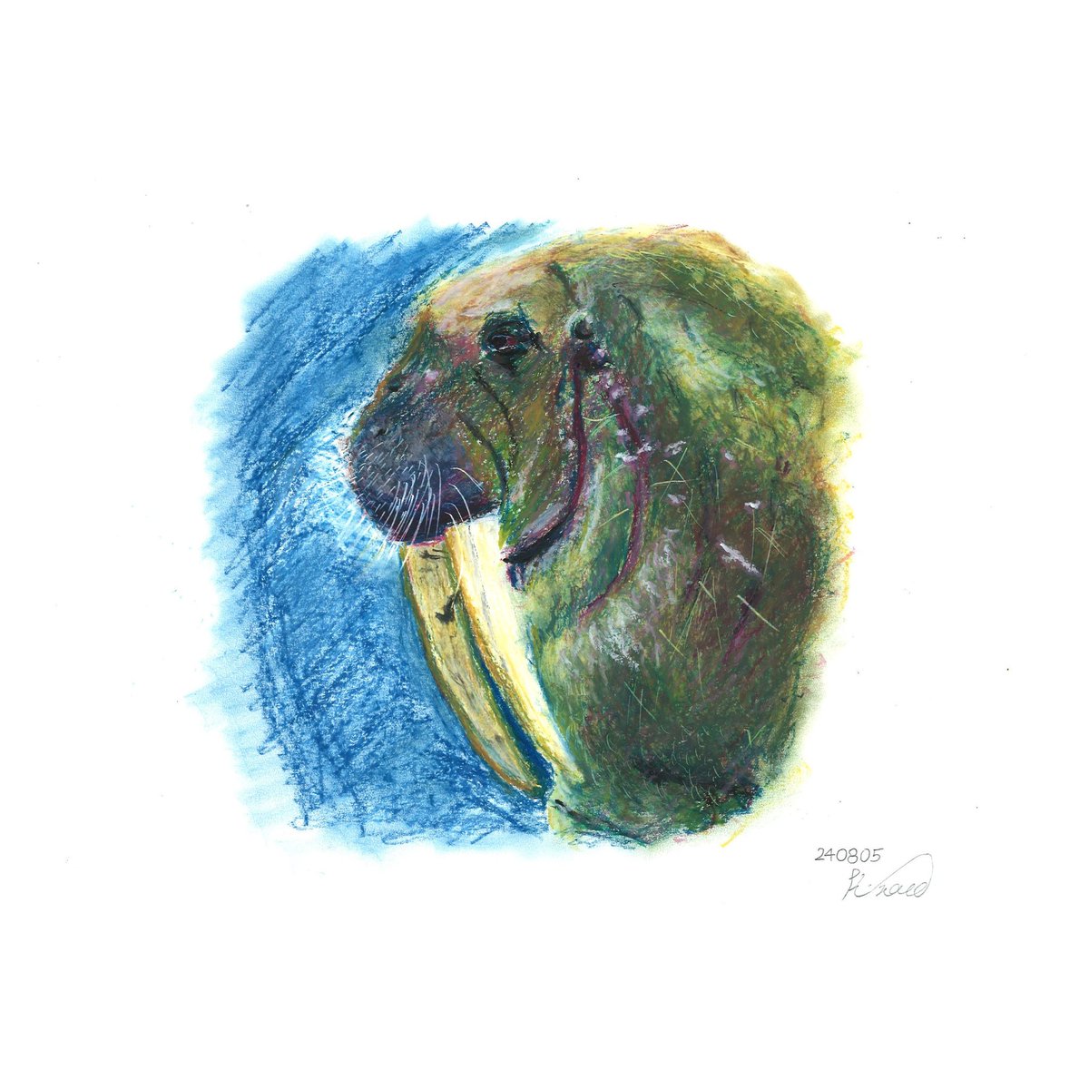 kslashnoue's tweet photo. #crayon #crayondrawing #artcrayon #walrus https://t.co/Qm2Wqwdlqa