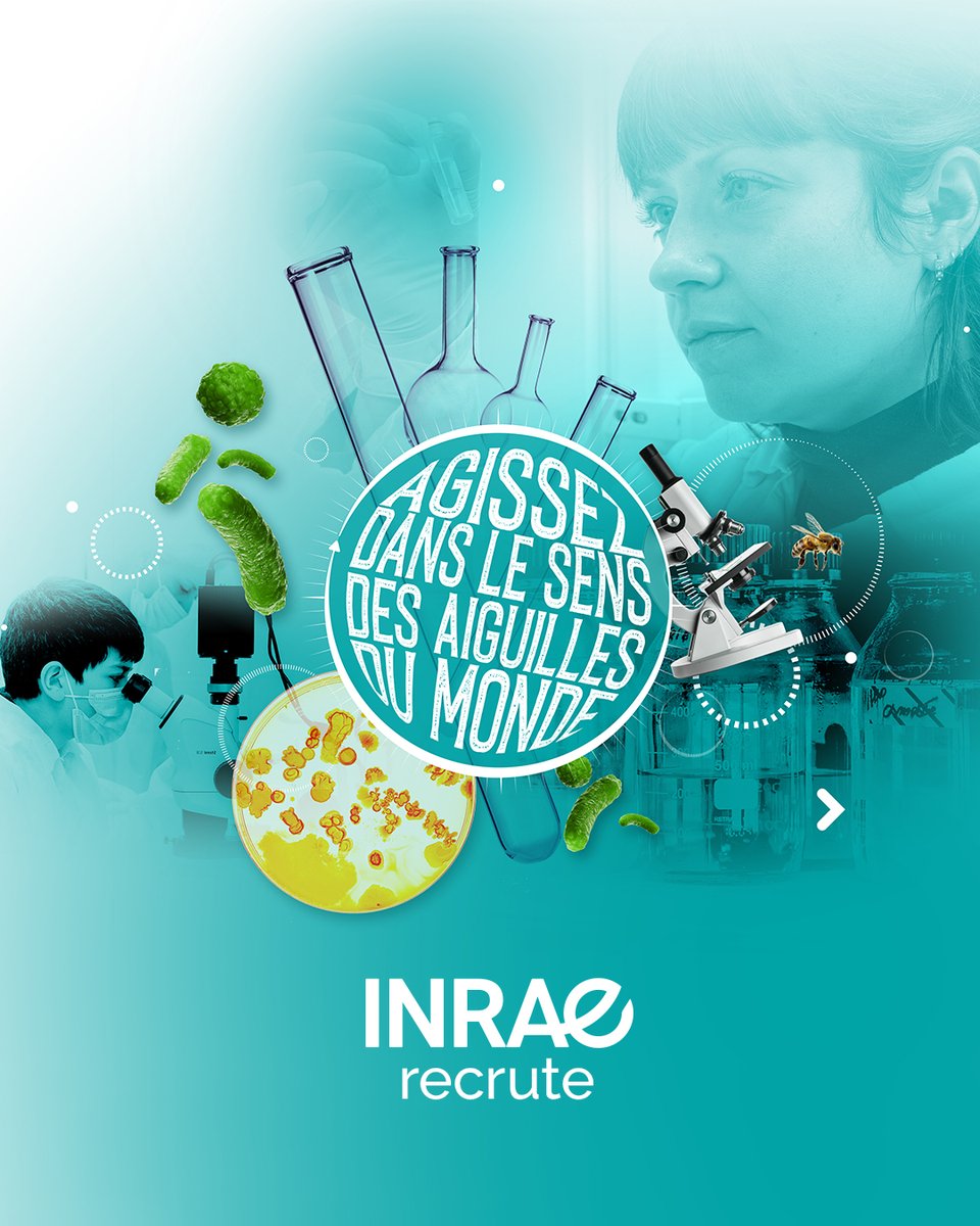 [#emploi] Devenez technicien-ne de laboratoire en chimie 🔬au sein de notre unité #URP3F 🌱, sur notre site de Lusignan <a href="/Grand_Poitiers/">Grand Poitiers</a> 
(desservi par le bus 36), pour 2 mois à partir du 03/03/25 jobs.inrae.fr/ot-23720 #job #emploi #recrutement
