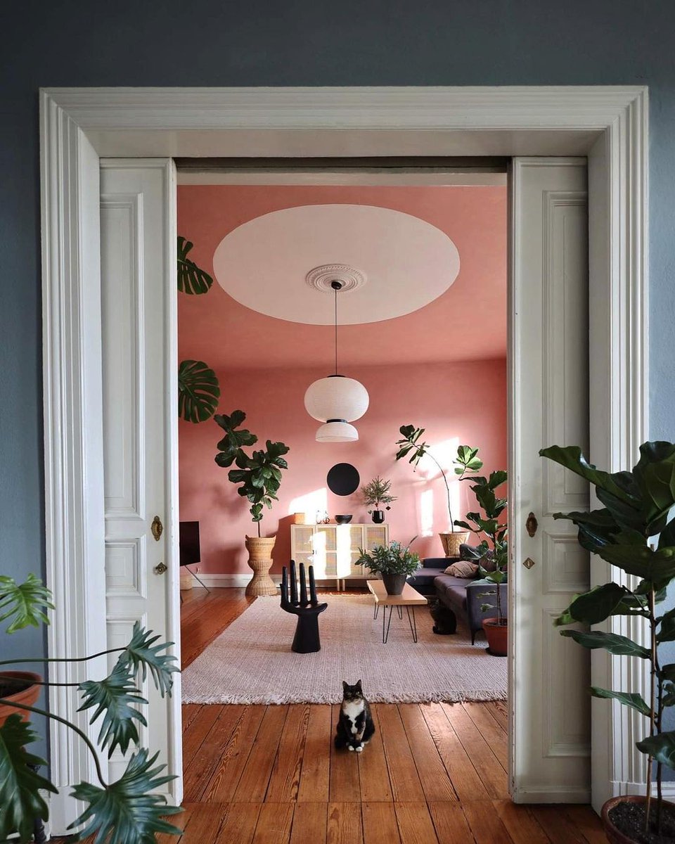 ELLEDecoFR's tweet photo. Belle harmonie 🍃

📸 @mimameise

#livingroom #altbau #altbauliebe #altbauwohnung #wohnzimmer #inspohome #cozyhome #cats #moody #catsofinstagram #myhome #homedecor #homeinterior #interiør #interiordesign #houseplants #apartmenttherapy https://t.co/duER6vDG6a