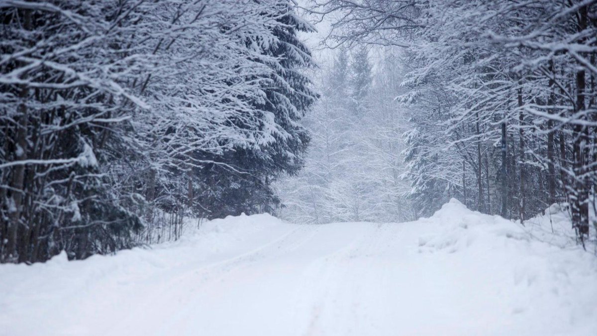 Talven pakkasennätys paukkui viime yönä Savukoskella – säähän muutos huomenna maaseuduntulevaisuus.fi/uutiset/2ef98d…