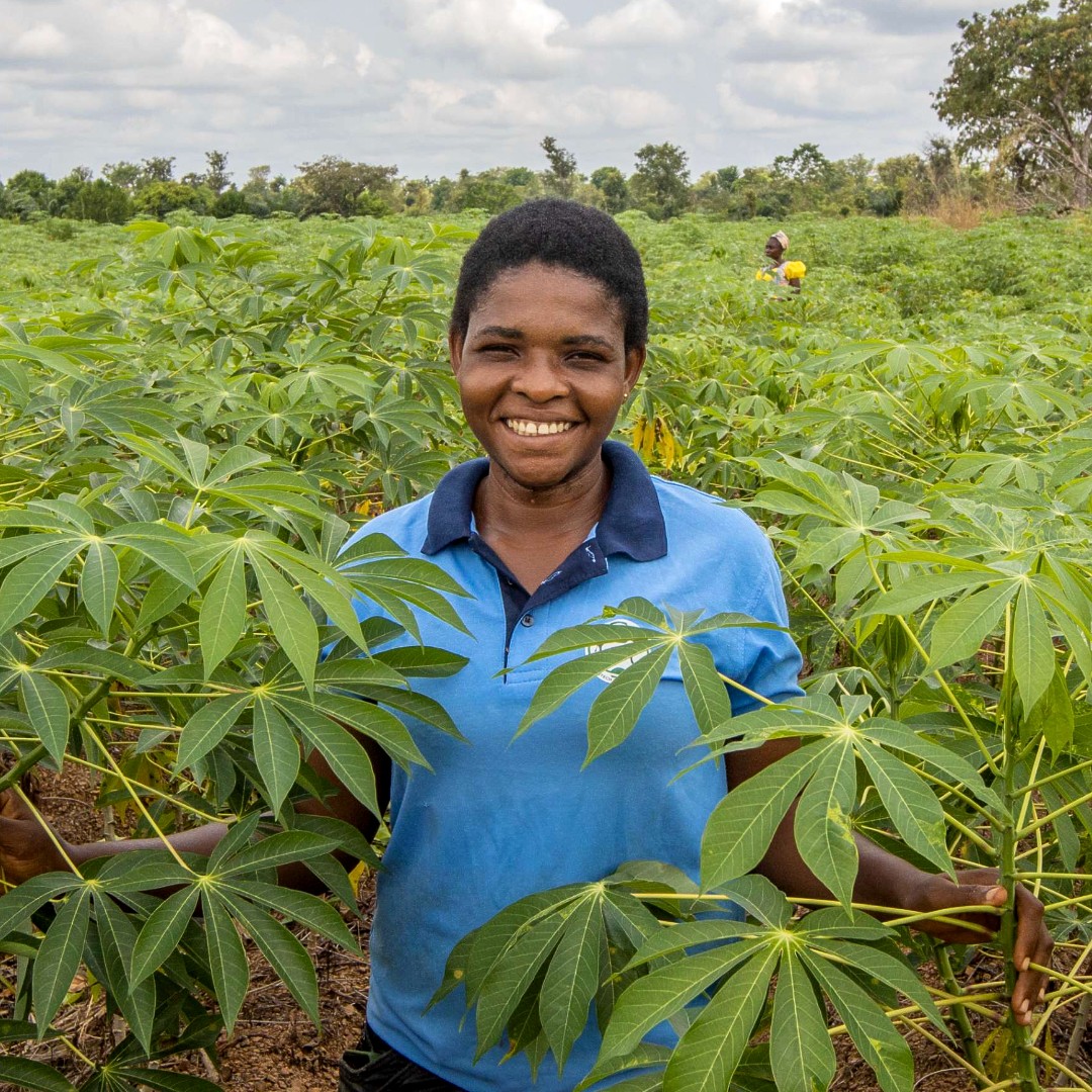 IFAD's tweet photo. Young rural people are agents of change ⚡

Their contribution is crucial to meeting the #GlobalGoals and improving the lives of people and the health of the planet.

🔃RT if you agree! https://t.co/9C6TdnxSYq