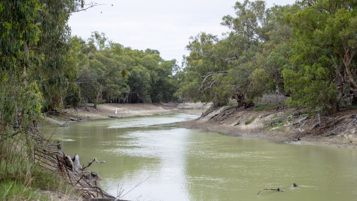 💧 You can help stop illegal water activities by reporting any suspicious activities or circumstances to NRAR.

To make a confidential report contact us via phone, email or fill out a suspicious activity report via our website: bit.ly/454k1v1