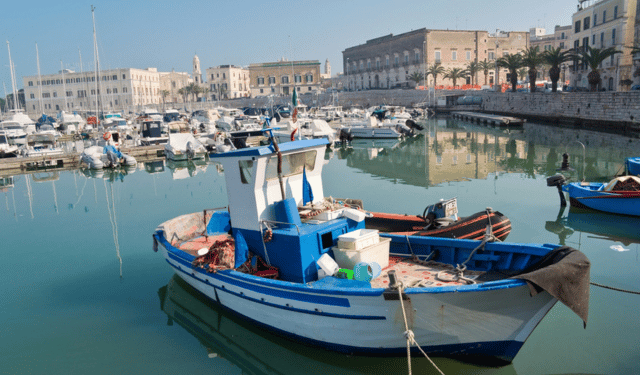 pesceinrete's tweet image. #RegionePuglia. In arrivo il nuovo bando #FEAMPA
shorturl.at/ajTfs