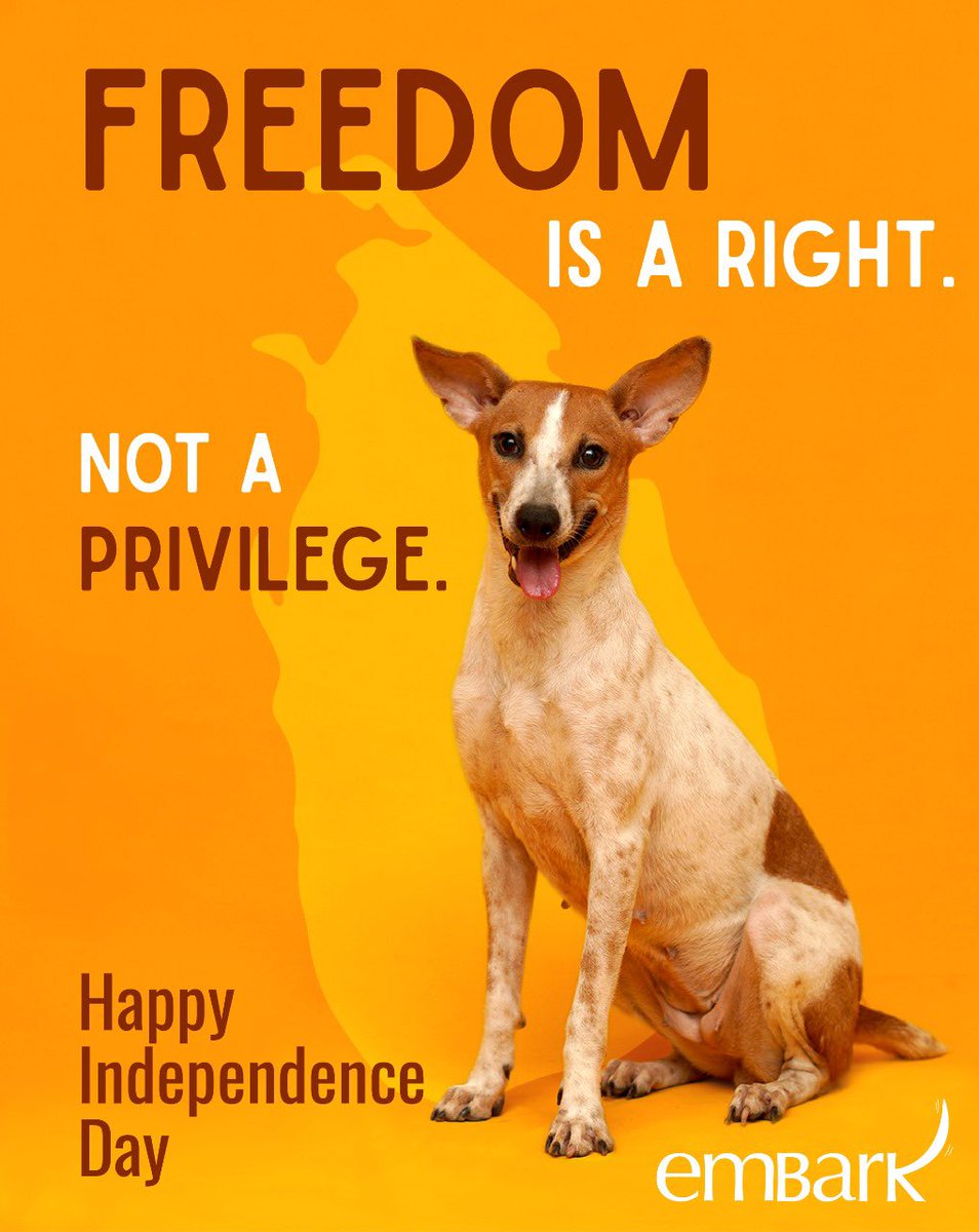 EmbarkLK's tweet photo. Freedom is a right, not a privilege. ๐๏ธ
This Independence Day, letโs remember that every lifeโbig or small, human or animalโdeserves to live free. โค๏ธ
#IndependenceForAll #FreedomMatters #EndCaptivity #AnimalRights #EmbarkSriLanka https://t.co/r65gzWFQPE