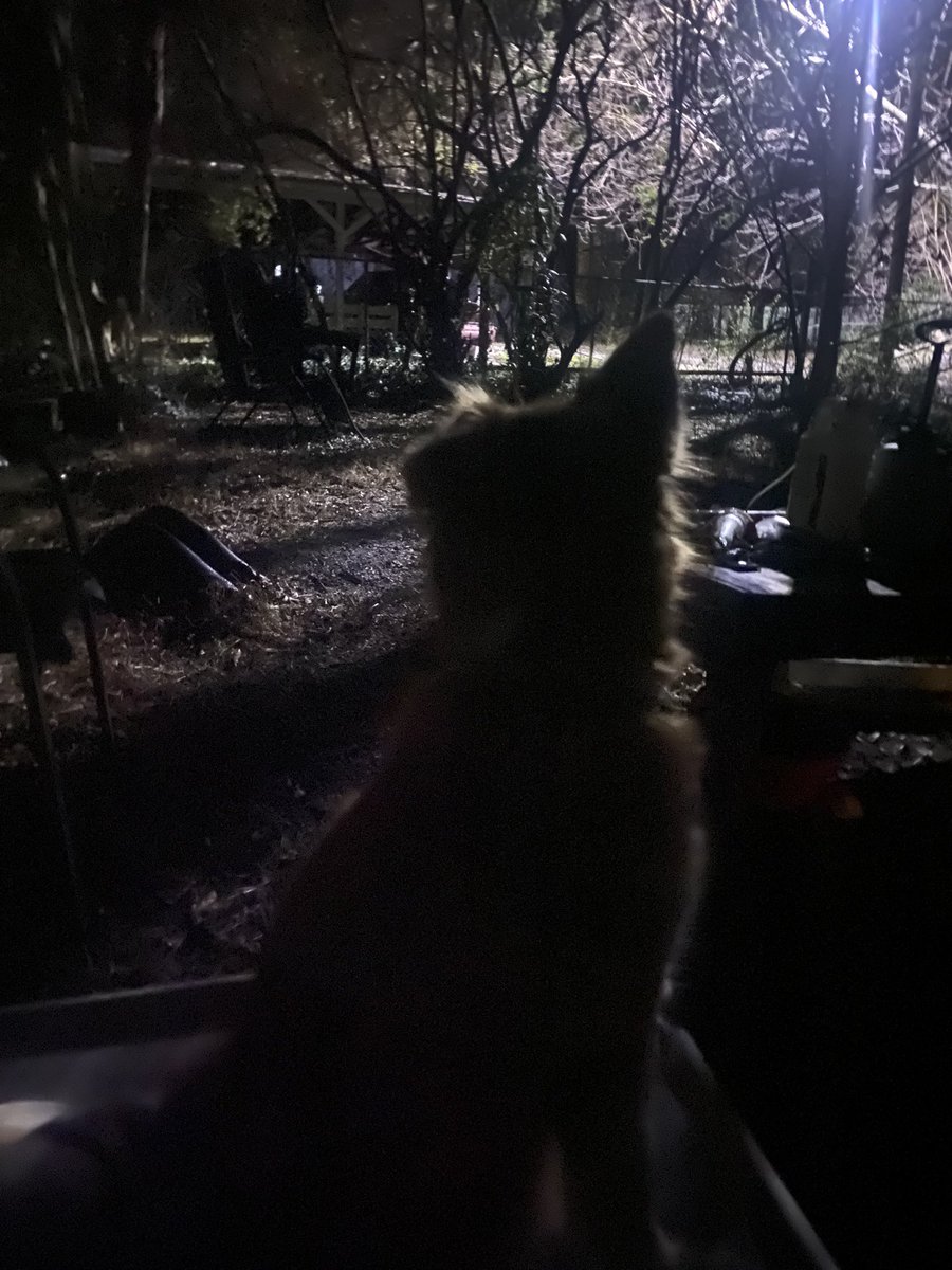 Yeah, man. It’s the good life. ✌🏻❤️