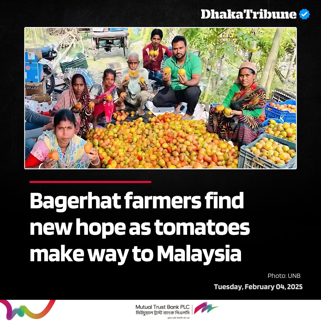 DhakaTribune's tweet photo. Details:https://t.co/BMjMezA5jo

#DhakaTribune #Bagerhat #TomatoExport #Malaysia #BangladeshAgriculture #FarmersHope #MarketRelief https://t.co/Z3jPs8zBed