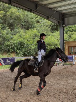 乗馬は自然と触れ合う優雅な方法です