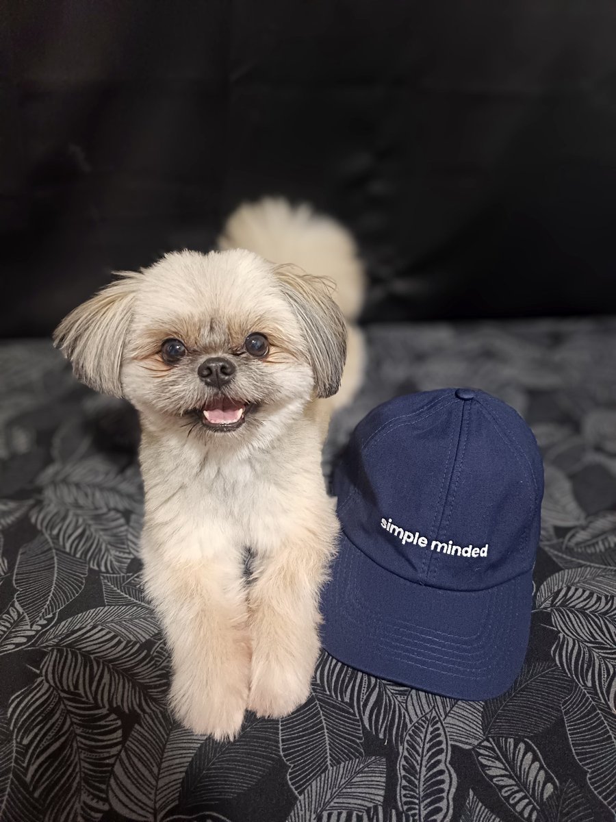 cryptoj4y's tweet photo. Received my cap 🧢 Thank you @cartesiproject #cartesi #simpleminded #merch $ctsi more merch to come 😁🐶🚀 https://t.co/V2K3yUF32M