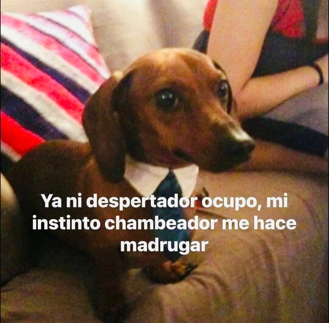 En Júpiter (@en_jupiter_) on Twitter photo 