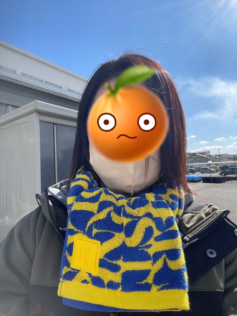 みかん🍊🐝 (@832mikan_mikan) / Posts / X