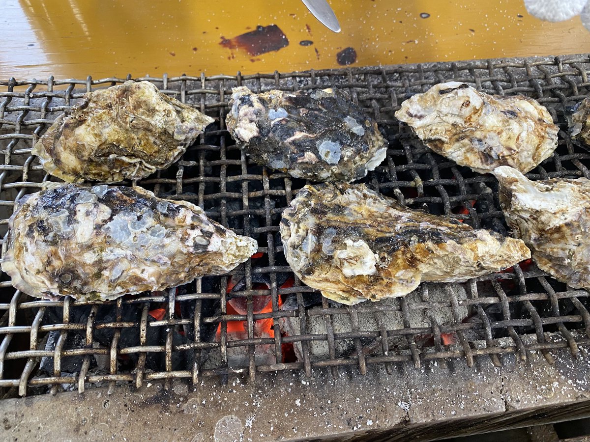 silverfox_0185's tweet photo. 2/2(日)に地御前かき小屋へ行ってきました。
今年は2/1から営業とのことで、お客さんが結構多かったです。
灰まみれになったり爆発したりとちょっと大変ですが、殻付き牡蠣を焼いて食べるのは楽しいですよ。
牡蠣天ぷらも美味しかった。
粒もなかなか大きいのでここはオススメです。
#地御前かき小屋 https://t.co/iTODNDeFSc