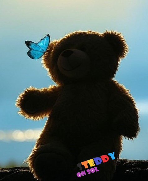 TEDDYonSOL_X's tweet image. It’s always darkest before dawn.
This is the trial of those who truly believe in the vision of Teddy.
Only a real Teddy bear survives a bear market.
We are here and we will never leave 🦋 🧸