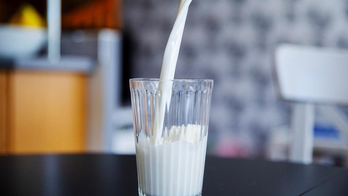 Maidon tuottajahinta jatkaa laskuaan Alankomaissa – Suomessa hinta on jo valmiiksi useita senttejä alempi maaseuduntulevaisuus.fi/maatalous/cab9…