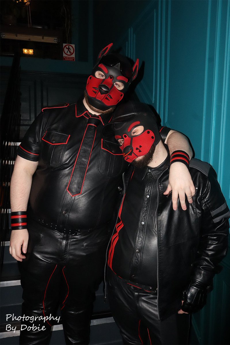 Hi yes, this is definitely the height difference between me and <a href="/PupMarmalade/">Mar-mar 🔜 DLW</a> , 100%, definitely 😇 

📸 <a href="/pupdobie/">✨Dobie✨ 🔜 OINK</a>