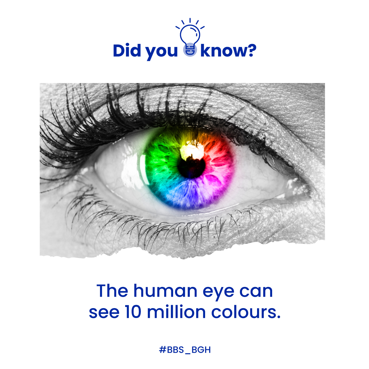 BBS_BGH's tweet photo. Yes, From the deepest blues to the brightest reds, your eyes can capture millions of hues!
#AmazingEyes #ColourVision #EyeFacts #NatureScience #VisionPower #BalBhartiSchool #BBS_BGH #Bahadurgarh https://t.co/ICdhNaorIh