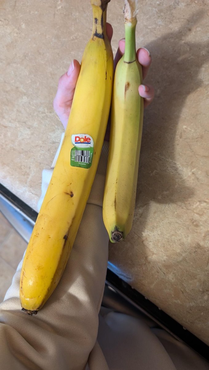 Banana for scale 🍌📏 (@scale_banana) / Posts / X