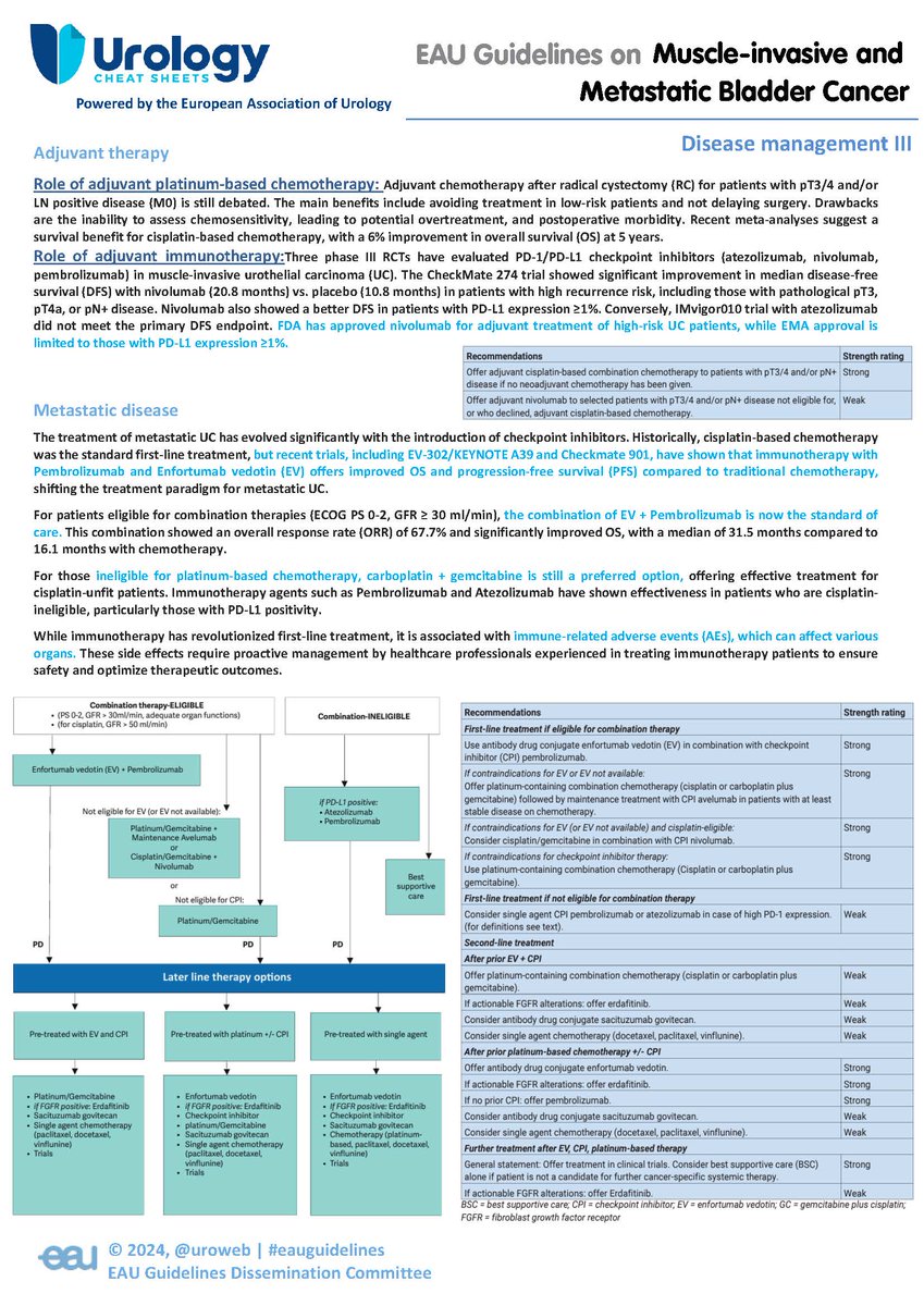 UROLOGY CHEAT SHEETS (@cheaturology) on Twitter photo 🧵📢 #EAUguidelines on muscle-invasive and metastatic bladder cancer (MIBC): Updates on adjuvant therapy and metastatic disease management. Do you want to know more? Don't miss this thread! <a href="/Uroweb/">European Association of Urology (EAU)</a> <a href="/ROC_Urologia/">ROC Clinic</a>
<a href="/EAU_Uroonco/">EAU Edu Platform UROONCO</a> <a href="/eau_yuo/">EAU Young Urologists</a> 🧵📢 #EAUguidelines on muscle-invasive and metastatic bladder cancer (MIBC): Updates on adjuvant therapy and metastatic disease management. Do you want to know more? Don't miss this thread! <a href="/Uroweb/">European Association of Urology (EAU)</a> <a href="/ROC_Urologia/">ROC Clinic</a>
<a href="/EAU_Uroonco/">EAU Edu Platform UROONCO</a> <a href="/eau_yuo/">EAU Young Urologists</a>