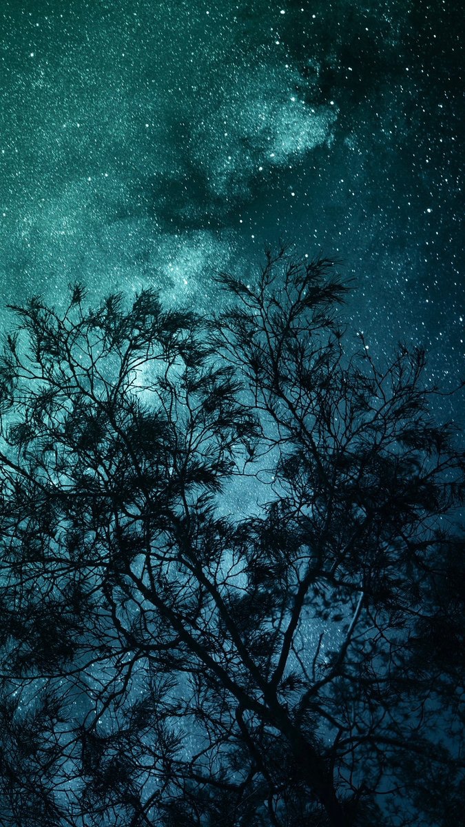 earthcurated's tweet photo. — so many stars ✨ https://t.co/8VhAnOm5UH