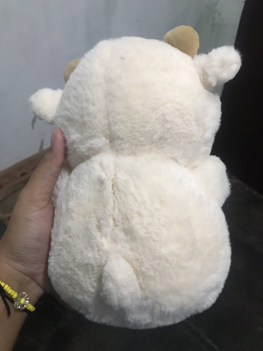builqs's tweet photo. 35k udah include all yukk adopt bonekanya masih mulus banget ngett https://t.co/522LZpQKK9