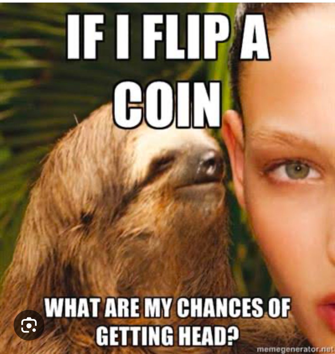 Sloth coin to the moon