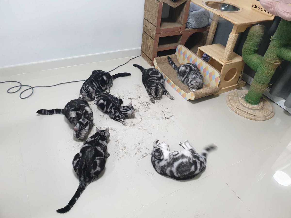 LittleStitch27's tweet photo. @pangggggji ส่วนทางนี้ปิดบ้าน เปิดแอร์จับกลุ่มมั่วสุม เยาวชนมอมเมามากค่ะ ตาลอยยกตี้ 😆 https://t.co/1hWzMrHt7b