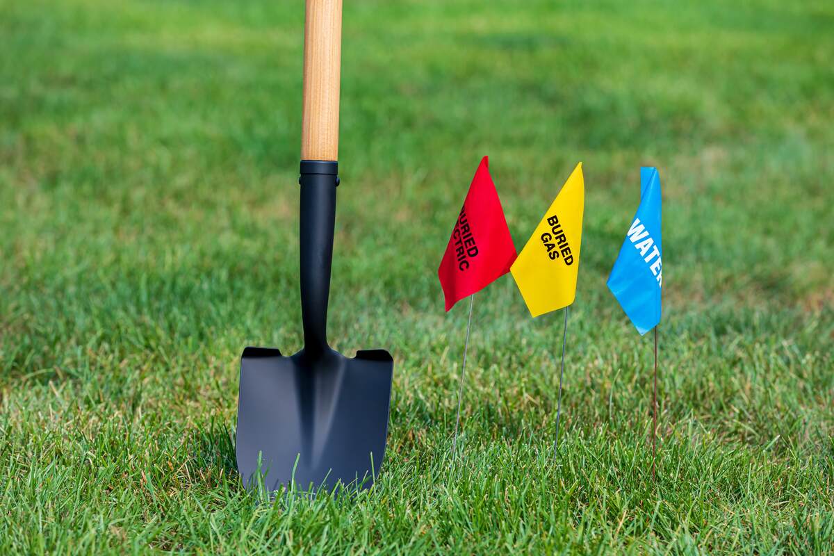 SupplyDave's tweet photo. Are you looking for plants to grow over buried utility lines in your yard?

This article highlights how to choose safe plants for areas with buried utility lines, suggests suitable options, and lists
 https://t.co/6g728DpjrB https://t.co/4JMwjiPbOx