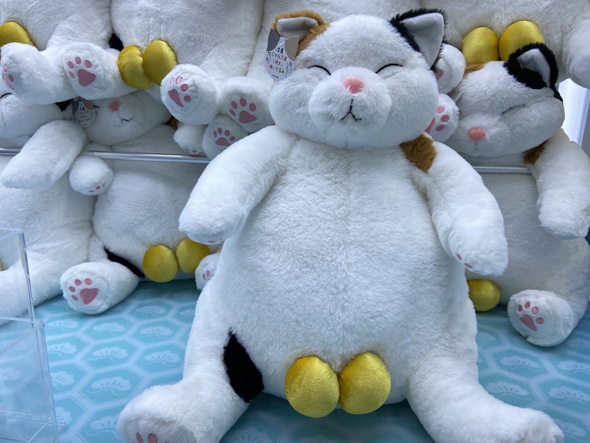 景品紹介】 こんにちは！エブリデイとってき屋東京本店です🗼 金運