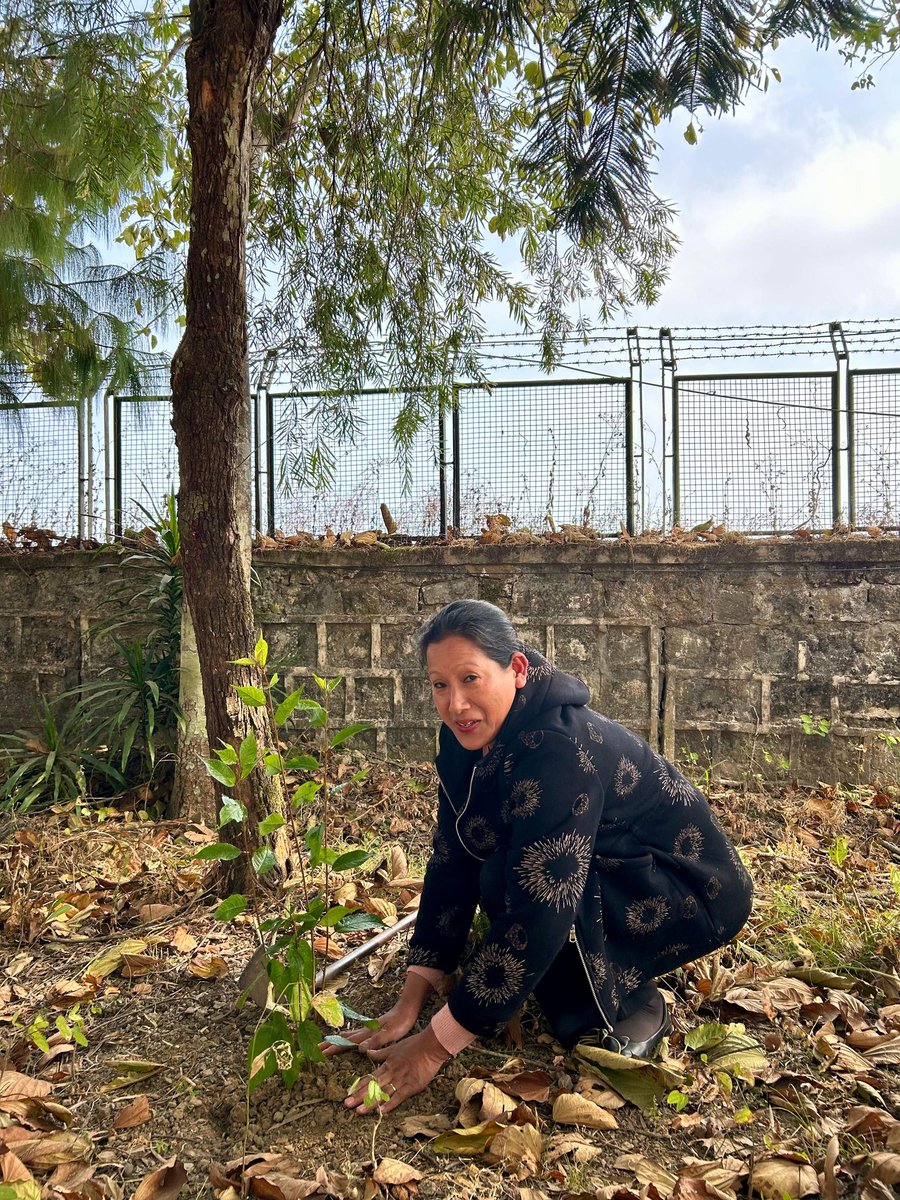 DD Nagaland (@ddnagaland) on Twitter photo DD kohima participating in Ek Pad Maa ki Naam on 4th February 2025 <a href="/MIB_India/">Ministry of Information and Broadcasting</a> <a href="/ceo_pb/">CEO, Prasar Bharati</a> DD kohima participating in Ek Pad Maa ki Naam on 4th February 2025 <a href="/MIB_India/">Ministry of Information and Broadcasting</a> <a href="/ceo_pb/">CEO, Prasar Bharati</a>