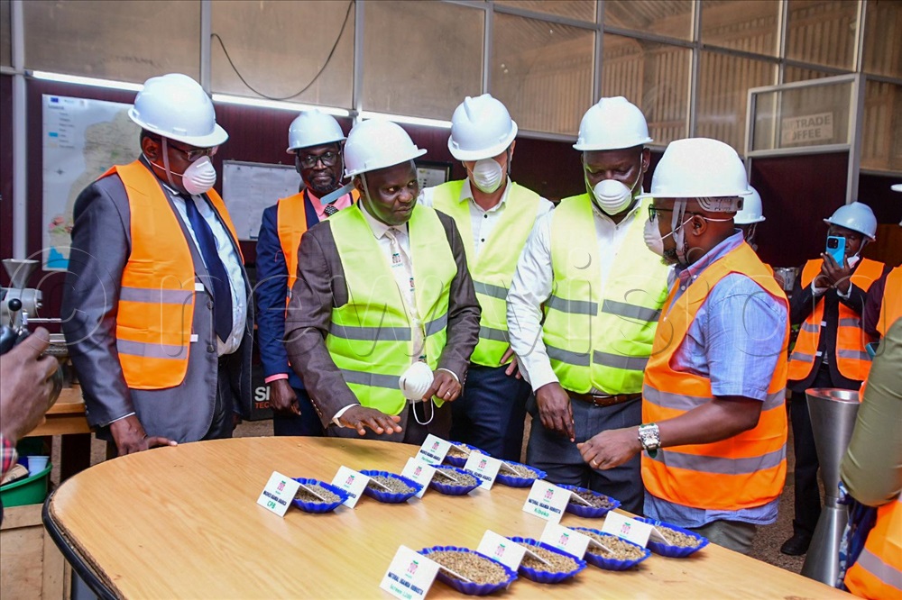 The New Vision tweet media