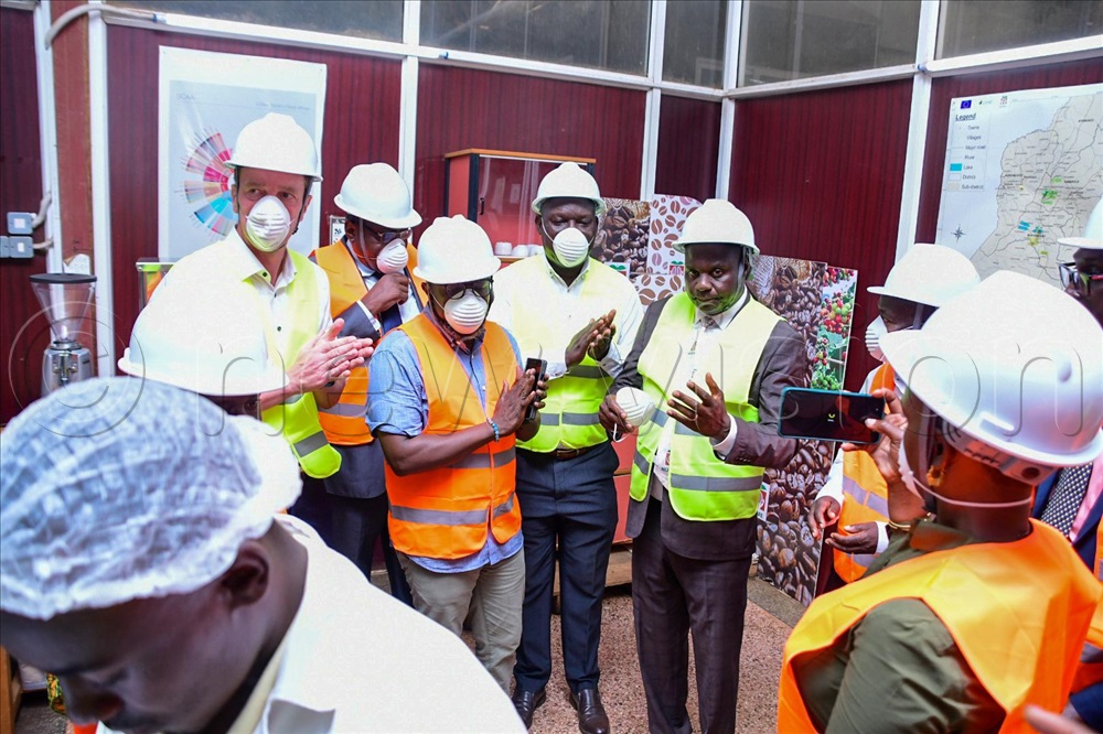 The New Vision tweet media