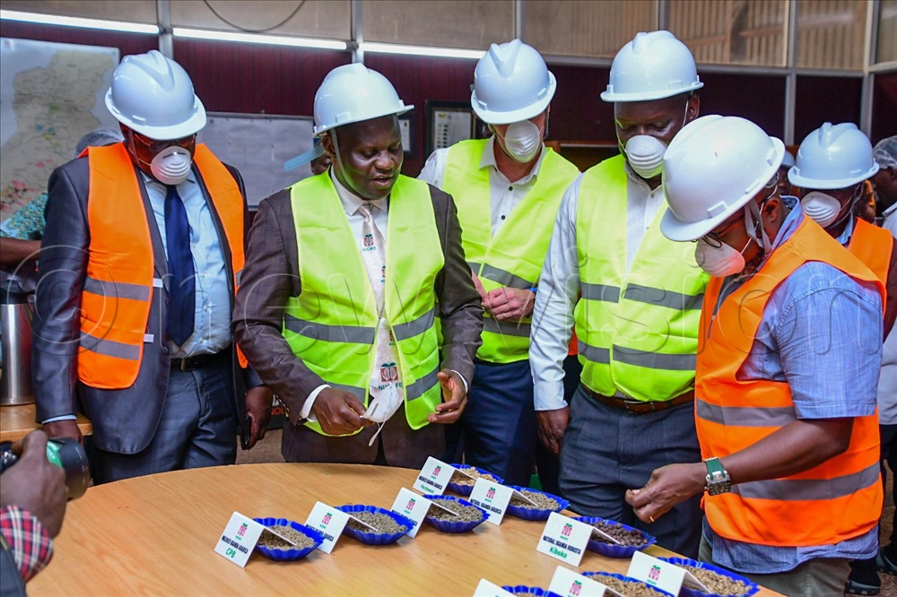 The New Vision tweet media