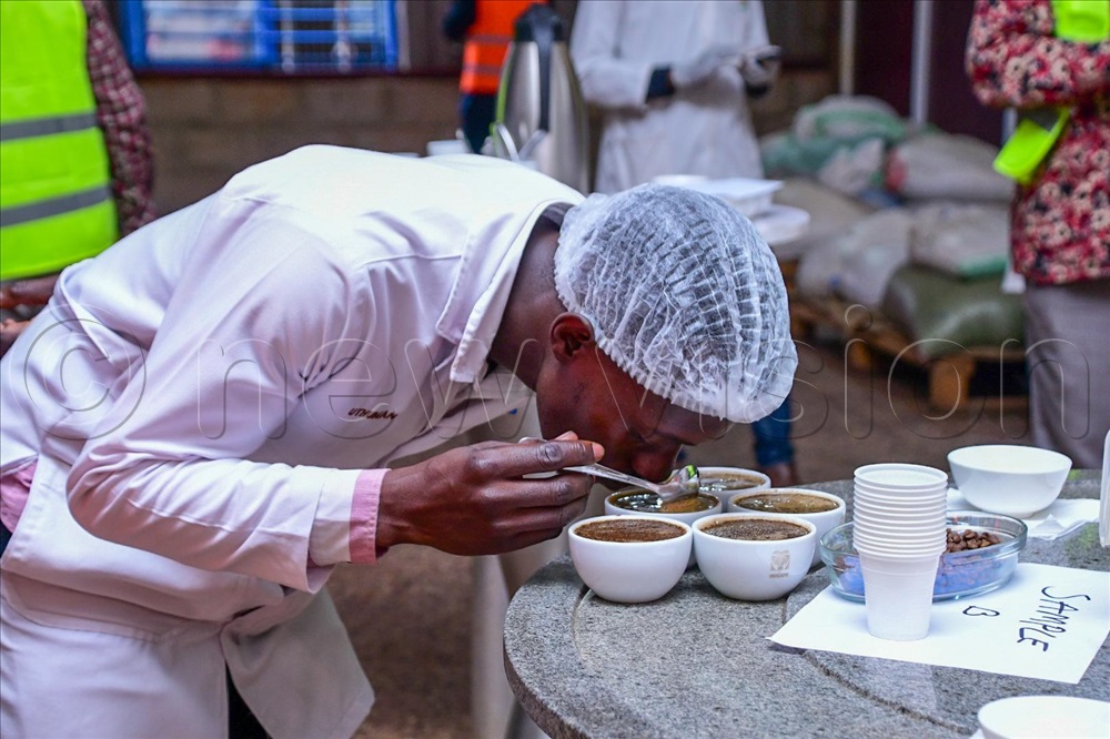 The New Vision tweet media